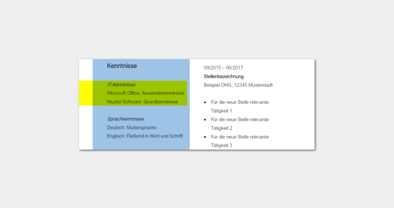 Software-Kenntnisse im Lebenslauf: Angabe, Muster & Beispiele